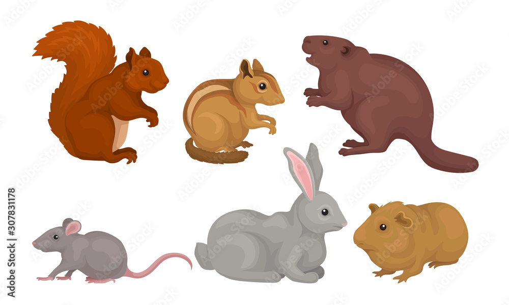 Wild Rodent Animals Set, Squirrel, Mouse, Beaver, Cavy, Rabbit, Chipmunk Vector Illustration Wild Rodent Animals Set, Squirrel, Mouse, Beaver, Cavy, Rabbit, Chipmunk Vector Illustration