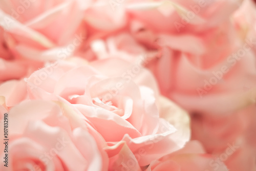 closeup view of pink eustoma flower. Soft pastel wedding background...