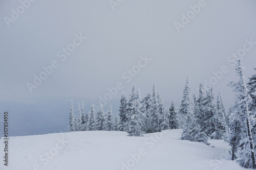 Winter landscape in Sheregesh. Frozen snow on trees. Frozen trees on a background of blue cloudy sky. A lot of snow fell in the winter cold in the mountains. Sunrise in the mountains