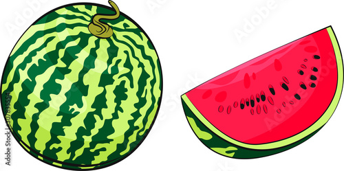 Watermelon vector illustration. Slice of juicy raw watermelon. Food illustration. Vegetarian. 