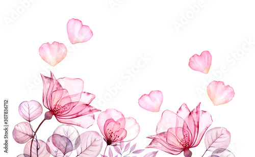 Fototapeta Naklejka Na Ścianę i Meble -  Watercolor floral background with roses and place for text. Transparent flowers with flying petals isolated in white. Botanical floral background for Saint Valentine's day card, wedding invitation.