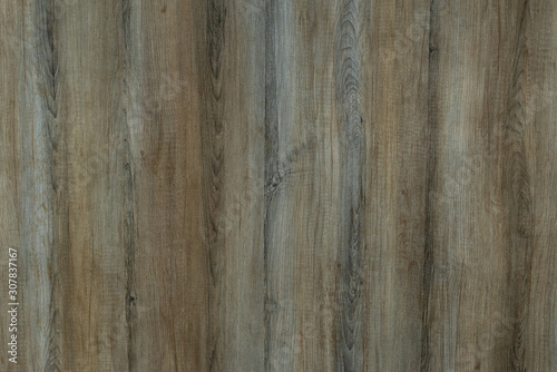 Wood background texture. Texture of wood background closeup.