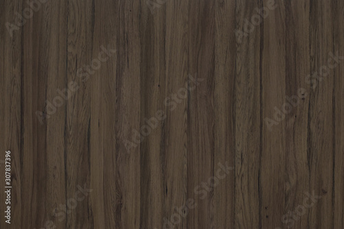 Wood background texture. Texture of wood background closeup.