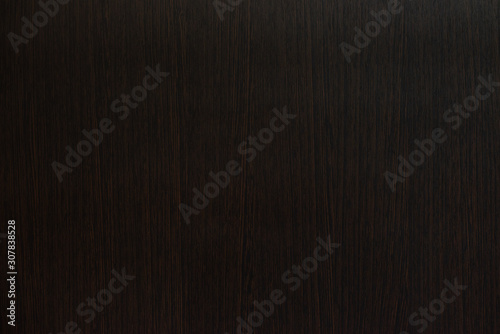 Wood background texture. Texture of wood background closeup.