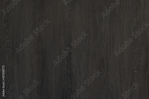 Wood background texture. Texture of wood background closeup.