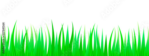 Green grass background. Vector illustration for poster or card