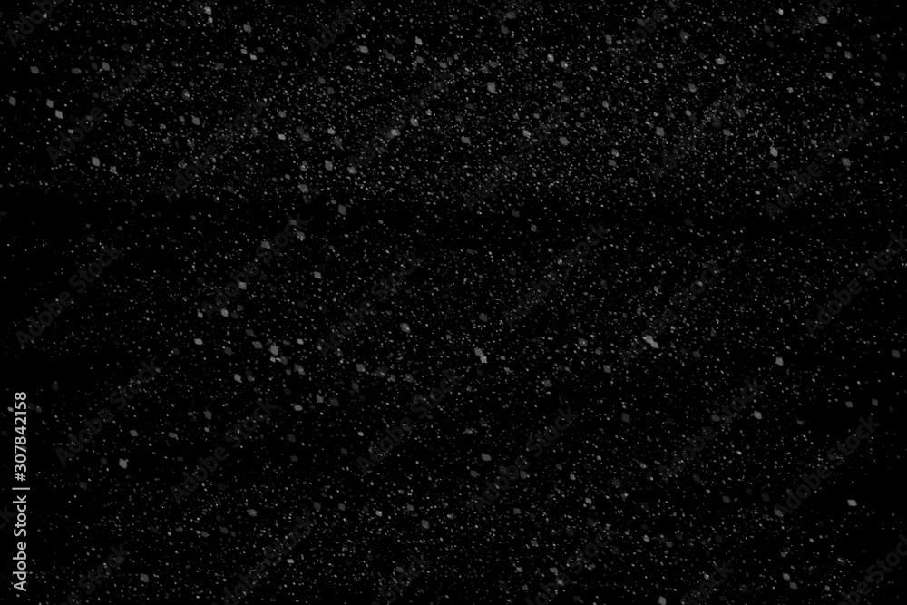 Obraz premium snow flakes fall isolated on black background