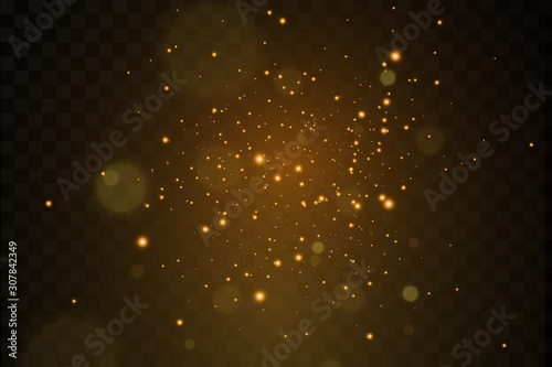 Set of golden light effects. Flashes and glares. Bright rays of light. Glowing lines. Vector illustration. Christmas flash. dust.