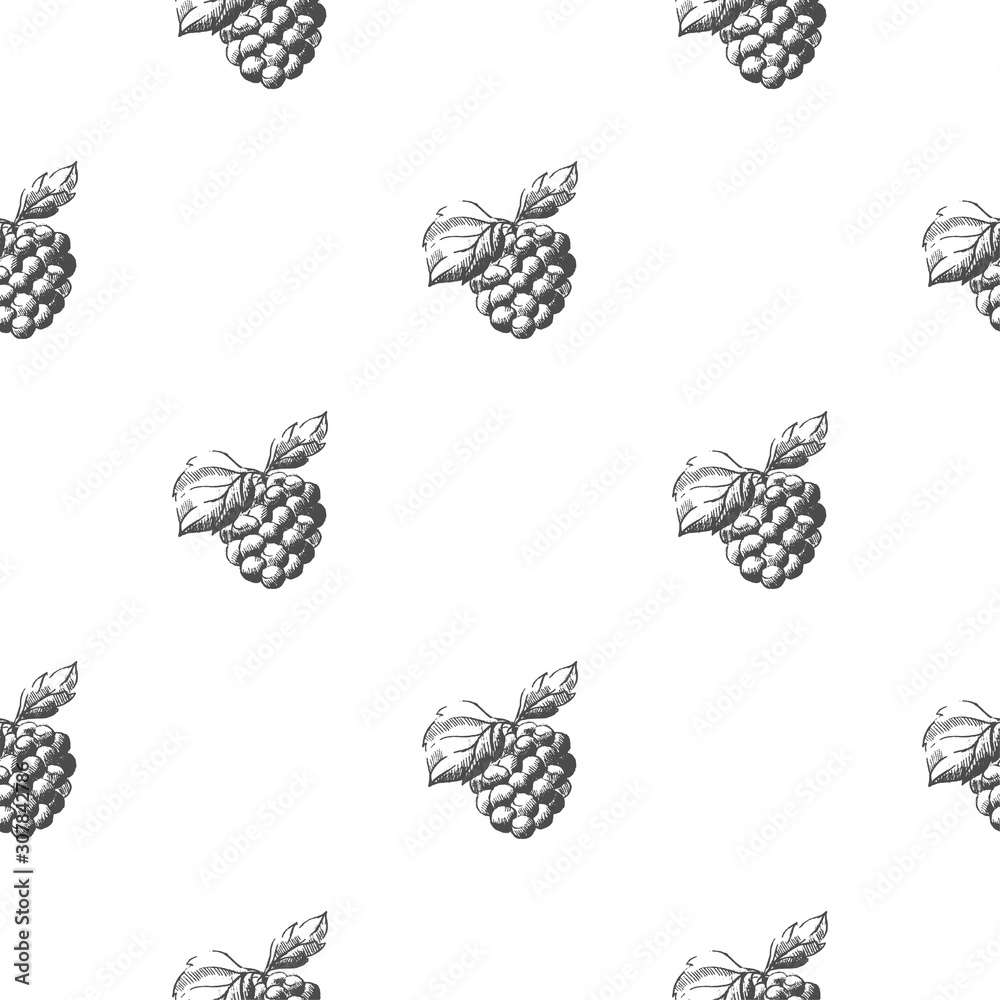 Pattern texture modern plant leaf botanical sketch art berries social media instagram modern Pattern texture modern plant leaf botanical sketch art berries social media instagram modern