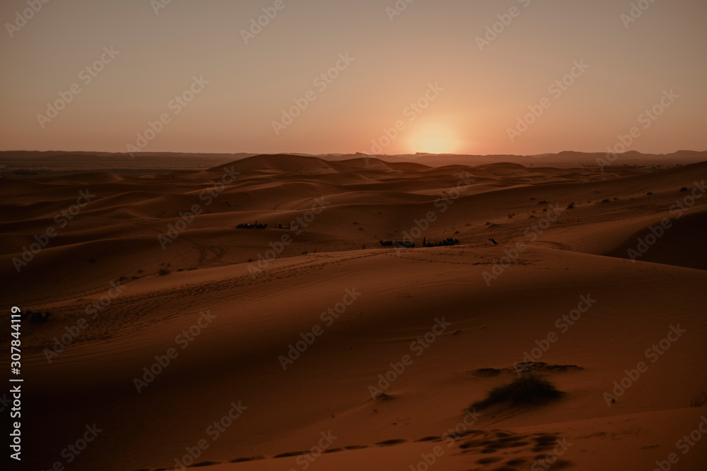 sahara desert sahara desert
