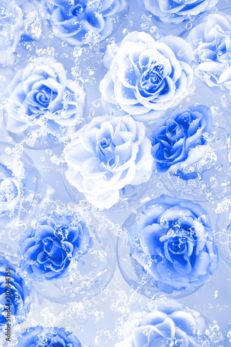 roses in soft blue toning with main color of 2020 style for background
