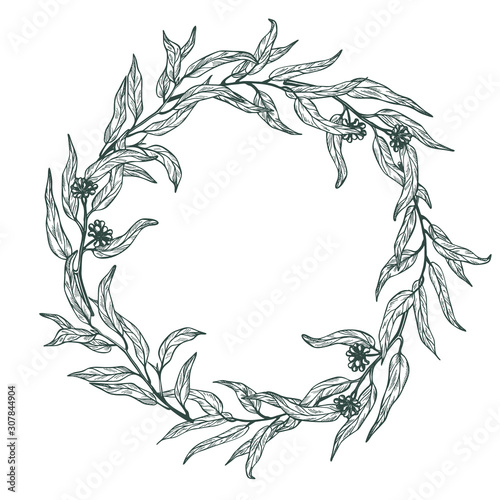 Wreath of monochrome eucalyptus branches  isolated on white background. Hand drawn botanical illustration with green contour lines. Stock vector illustration. 