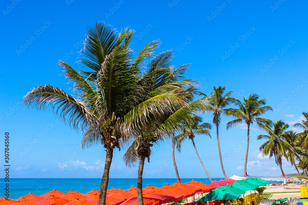 Praia tropical, Praia do Francês, Estado de Alagoas, Brasil