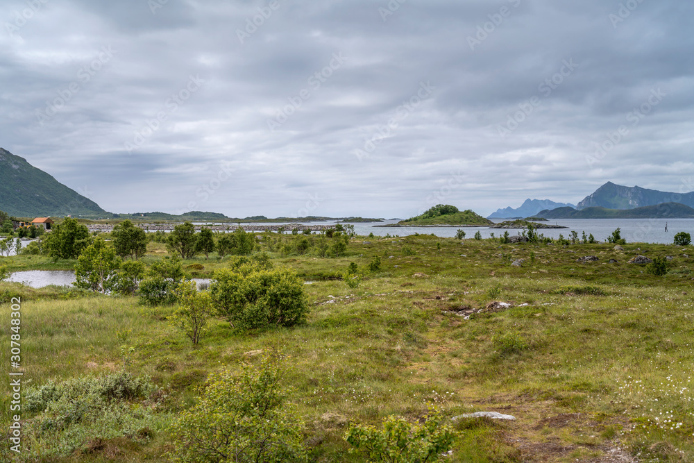 Fototapeta premium green fjord shore, near Kleppstad, Lofoten, Norway