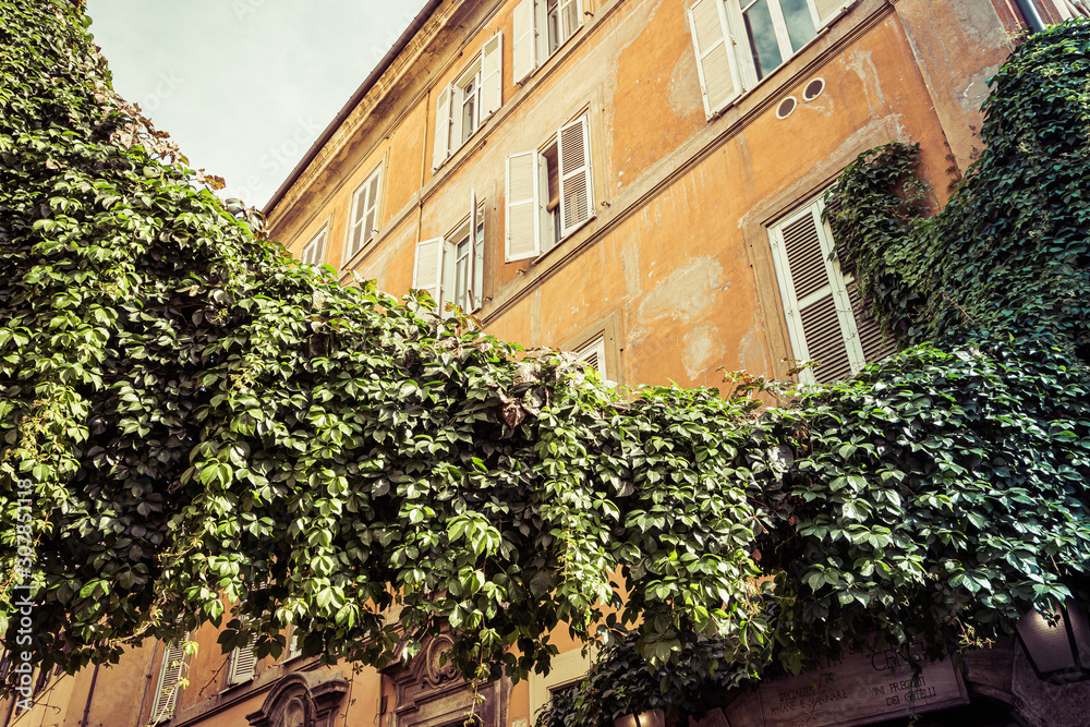 Old architeture in Rome with Ivy