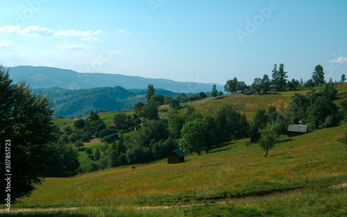 mountains in the background. healthy grass and forest