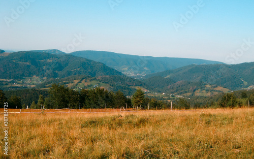 mountains in the background. healthy grass and forest