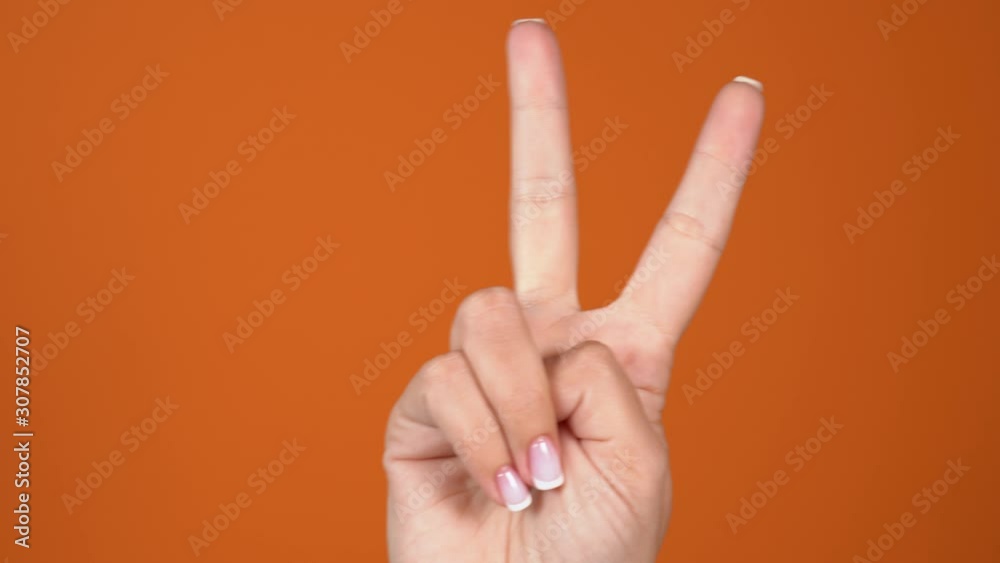 Closeup of isolated on orange adult female hand counting from 0 to 5. Woman shows fist fist, then one, two, three, four, five fingers. Manicured nails painted with beautiful pink polish. Math concept. Closeup of isolated on orange adult female hand counting from 0 to 5. Woman shows fist fist, then one, two, three, four, five fingers. Manicured nails painted with beautiful pink polish. Math concept.
