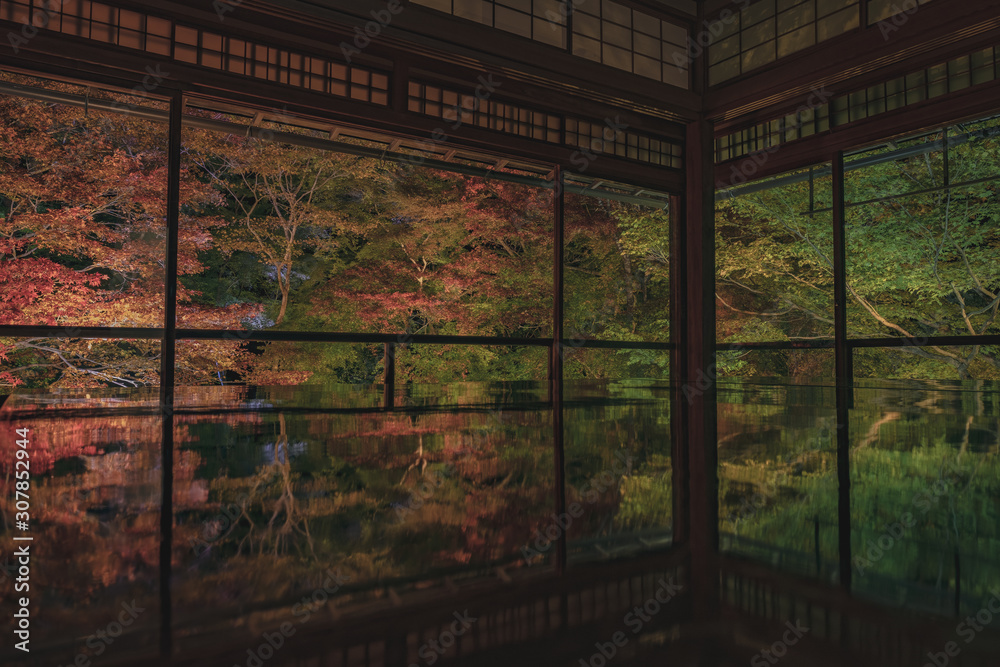 Obraz premium 京都 お寺 寺 紅葉 光明寺 寺社仏閣 写真素材 