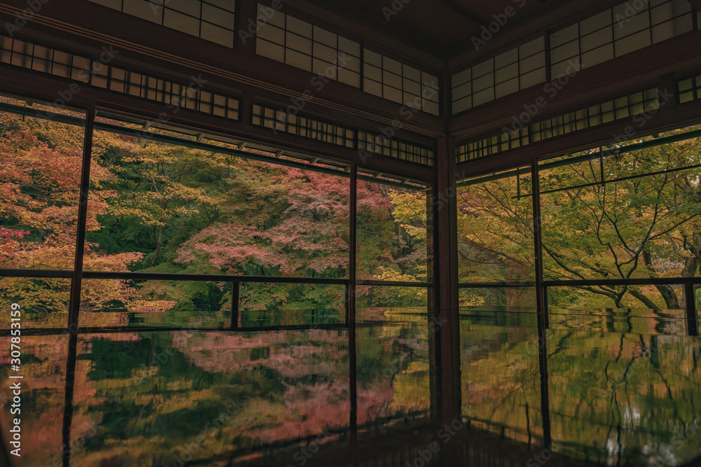 Obraz premium 京都 お寺 寺 紅葉 光明寺 寺社仏閣 写真素材 