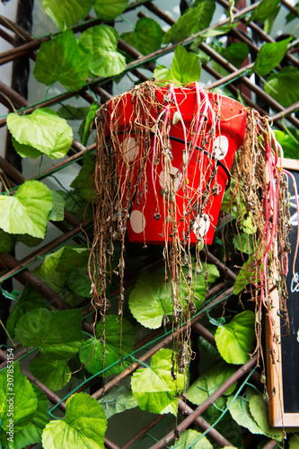 Colorful red bucket pailful with white dots on green grass background. exterior detail close up. Red andalusian style bucket with white dots. Interior detail, decor