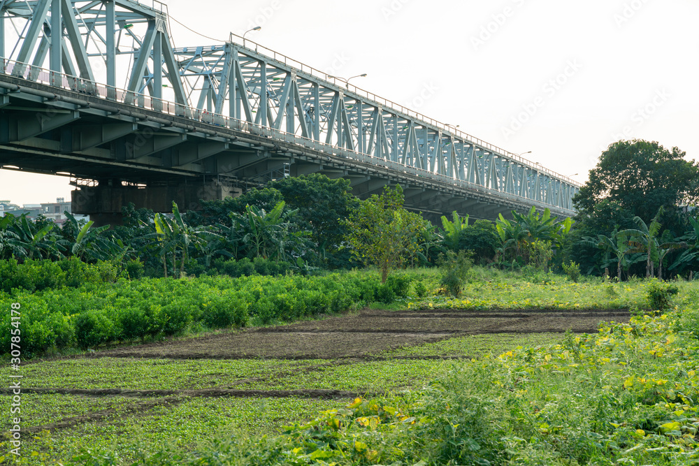 Chuong Duong bridge crossing above green cultivated farmland in Hanoi, Vietnam