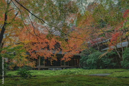 京都　瑠璃光院　お寺　紅葉　秋　写真素材　季節　 © Sanato