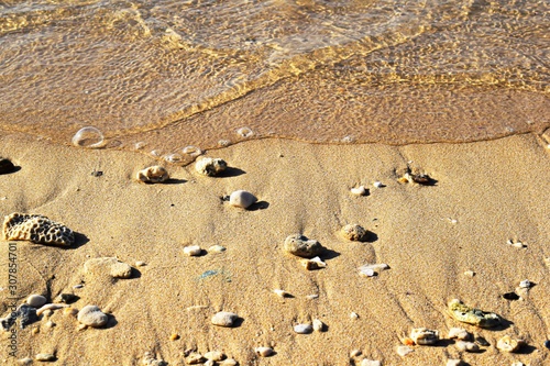 footprints in the sand