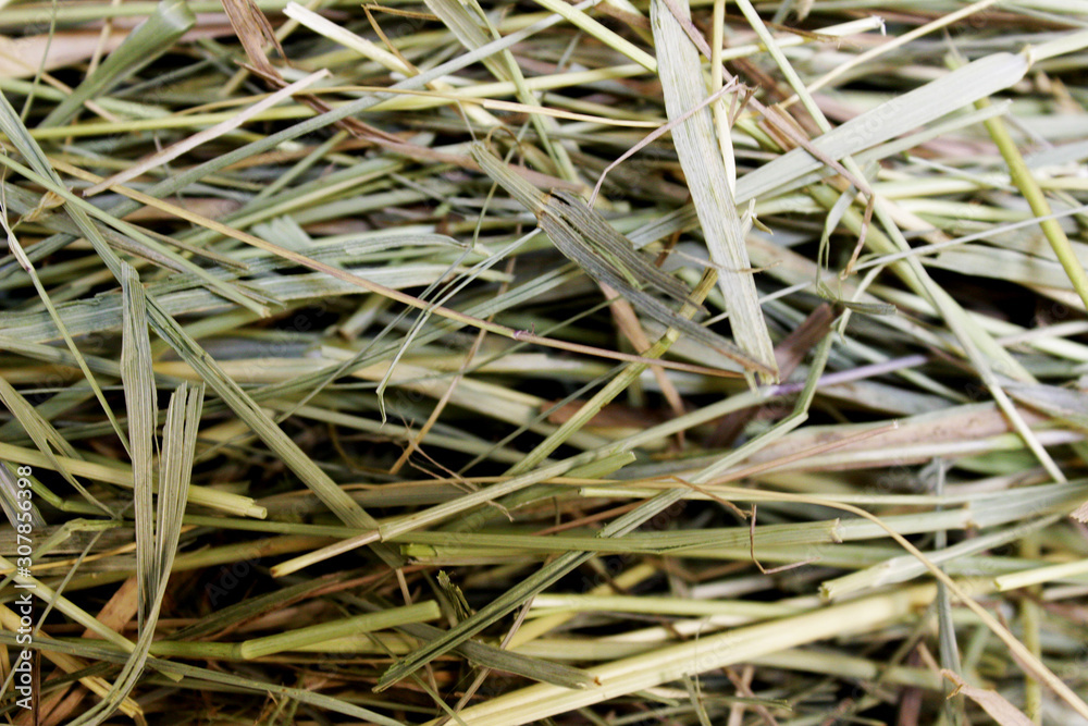 A small pile of dry grass.