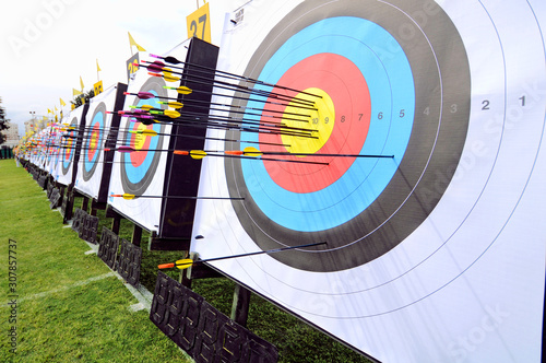 Arrows on target photo