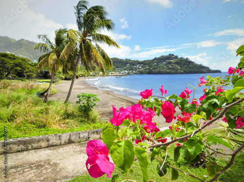 Vue d'une plage déserte des îles des Grenadines, Caraïbes. photo