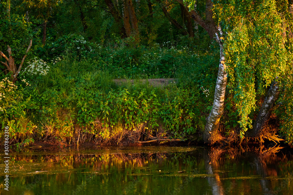 Peaceful rural summer european landscape with green trees and water Peaceful rural summer european landscape with green trees and water