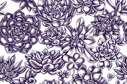 Artistic seamless pattern with succulent echeveria, succulent echeveria, succulent