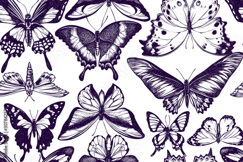 Artistic seamless pattern with ornithoptera croesus lydius, graphium weiskei, ambulyx pryeri, salamis parhassus, chorinea octauius, papilio palinurus, stichophthalma howqua, danaus chrysippus