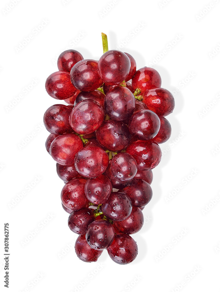 red grape with water drop isolated clipping path