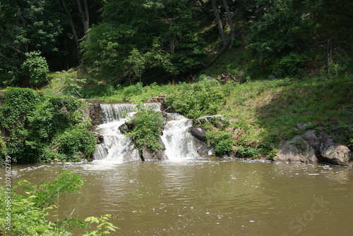 Fototapeta Naklejka Na Ścianę i Meble -   small waterfall on a forest river