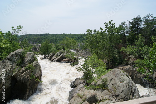 stormy river in the mountains among the green forest