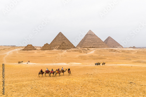 camels in Giz Pyramids desert in Cairo Egypt