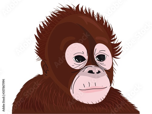 illustration orangutan kids sad expression design 