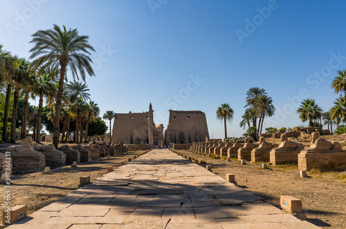 Luxor temple old egyptian museum in thebes egypt