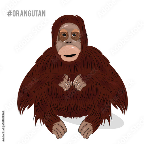 Cartoon illustration orangutan isolated on white background
