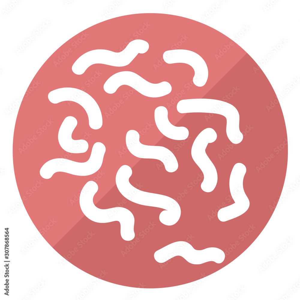 Lampylobacter bad gutbacteria. intestinal bacterial flora vector icon on a white background Lampylobacter bad gutbacteria. intestinal bacterial flora vector icon on a white background