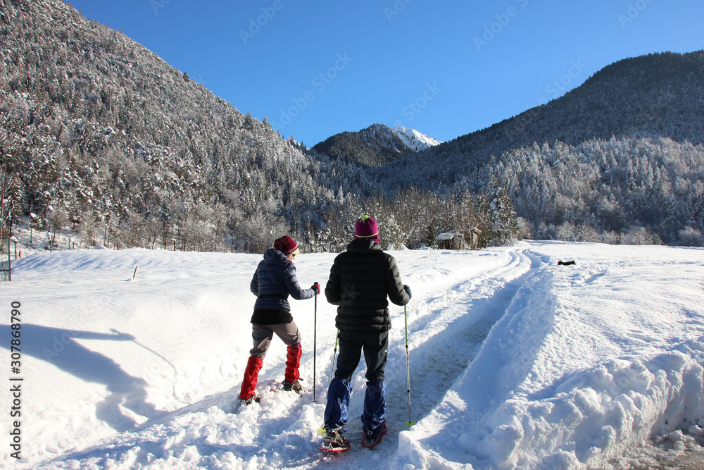 Snowshoe walkers running in powder snow in Trentino, Italy. Outdoor winter activity in the Alps.