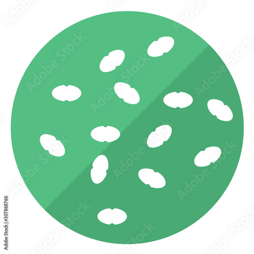 Enterococcus faecalis bad bacterial microflora of intestine vector icon on a white background photo
