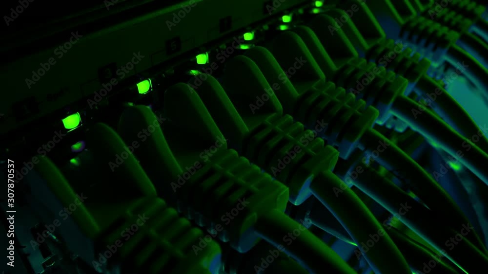 Macro Shot: Ethernet Data Cables Connected to Router Ports with Blinking Lights. Information Technology with RJ45 Internet Connectors Plugged into Modem LAN Switches. Background Green Lighting