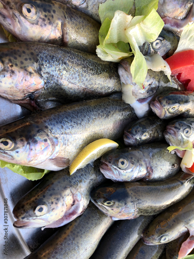 Obraz premium Raw fish background. Group of raw trout in the market. Vertical, top view, close-up. The concept of fishing and healthy eating.