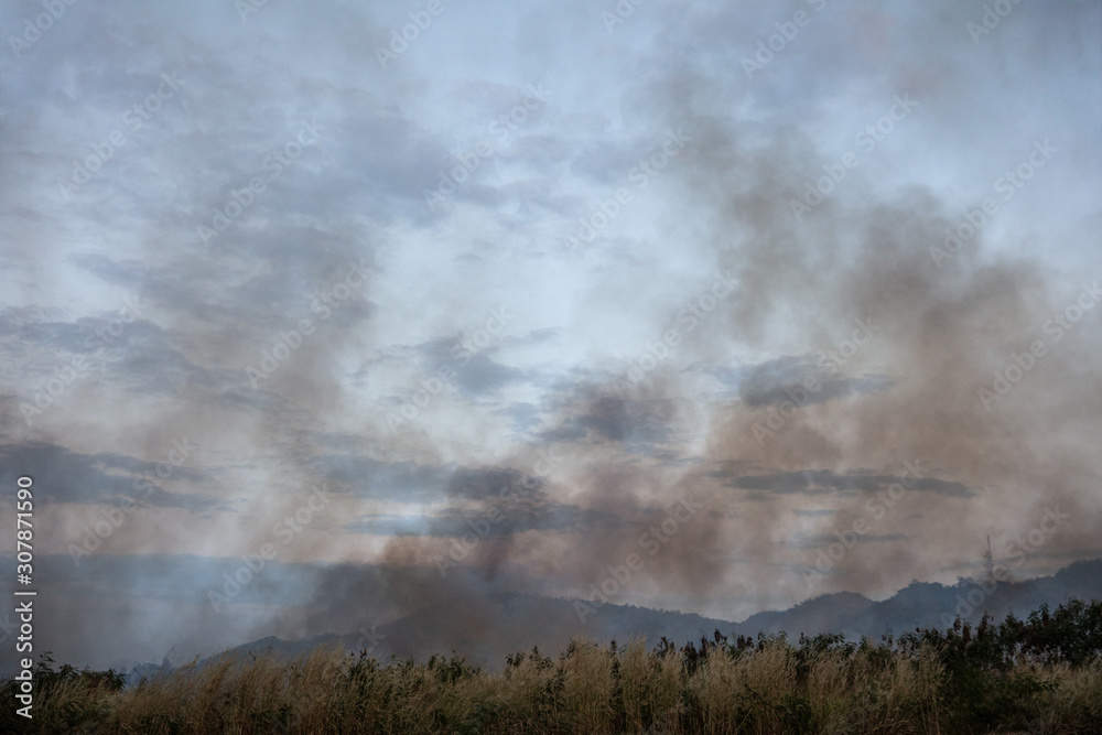 Smoke pollution from Wildfire, he air is polluted with smoke Smoke pollution from Wildfire, he air is polluted with smoke