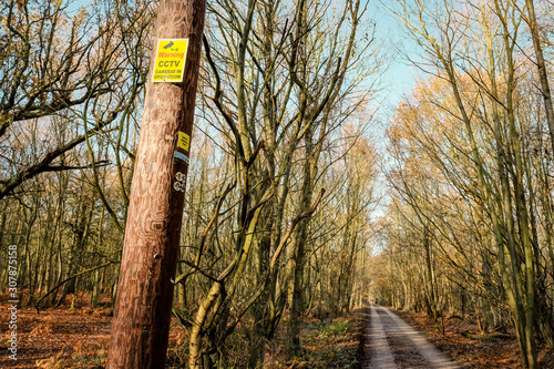 Newly installed CCTV warning sign seen high on a wooden telegraph pole. Located in public parkland, by a rural lane, prone to criminal activity. photo