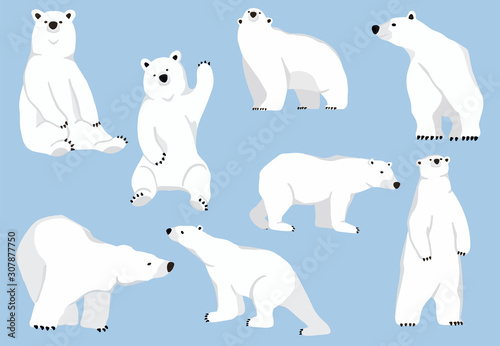 Simple white bear character.Vector illustration character doodle cartoon