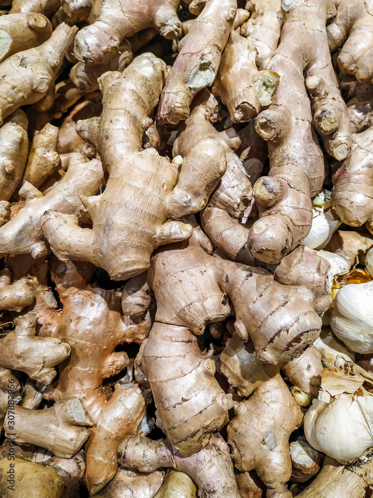 Brown ginger root stacked in a store shop for sale, a healthy full of vitamins root in a pile for fresh and nutritious seasoning, tea or meal